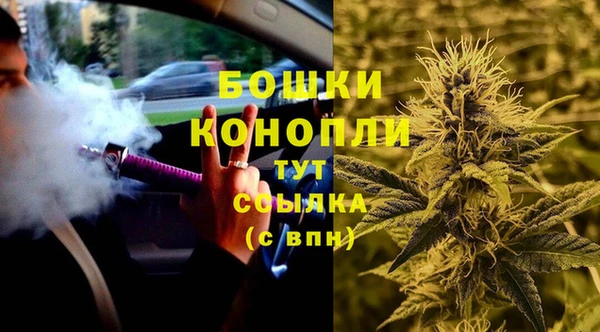 крисы Зеленодольск