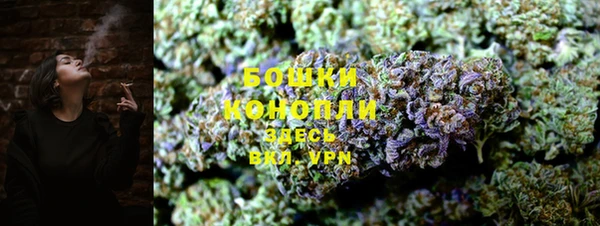 крисы Зеленодольск