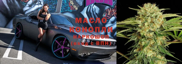 крисы Зеленодольск