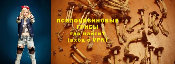 крисы Зеленодольск