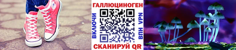 ссылка на мегу рабочий сайт  Исилькуль  Галлюциногенные грибы Psilocybe 
